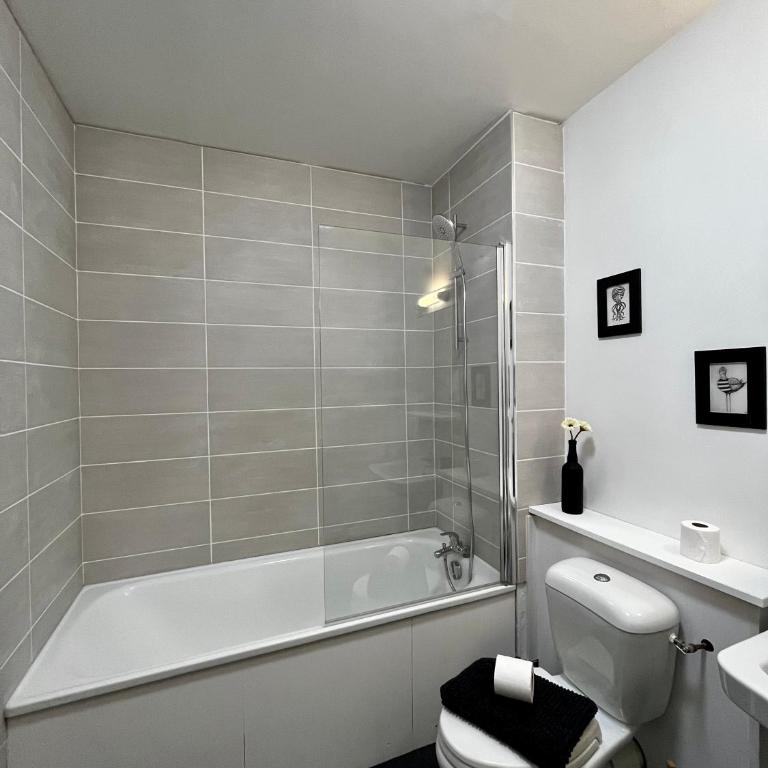 Superbe appartement confortable, proche centre ville - Studio - 19