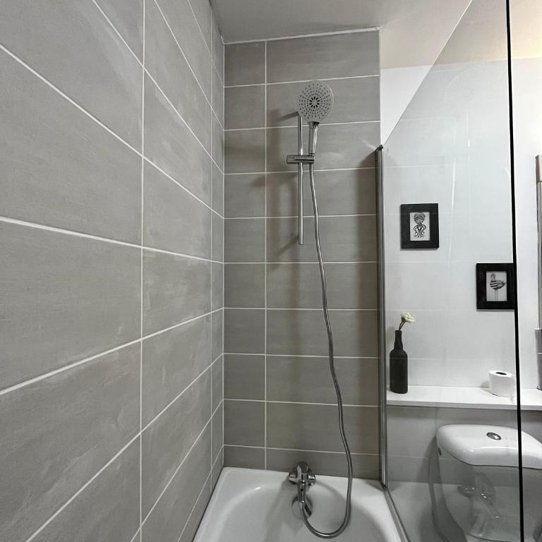 Superbe appartement confortable, proche centre ville - Studio - 21