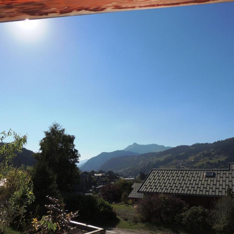 Chalet de prestige, proche des pistes aux Gets - Chalet 3 Chambres - 8