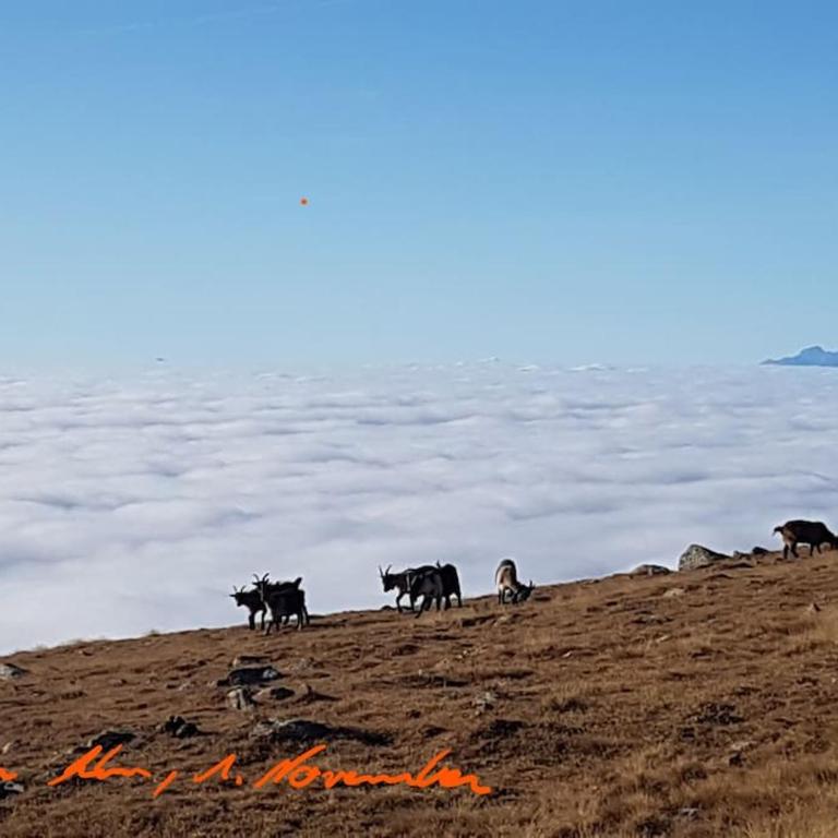 Dolomiten View - South Tyrol - Appartamento con Vista Montagna - 25