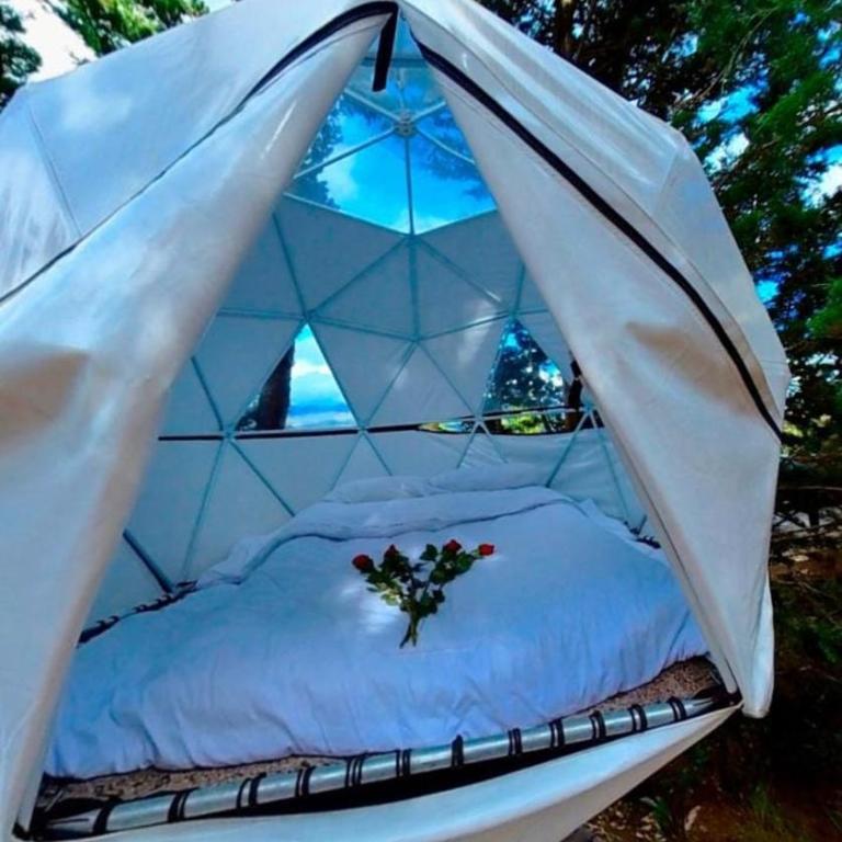 Glamping El Edén Guasca Cundinamarca - Bungalow - 1