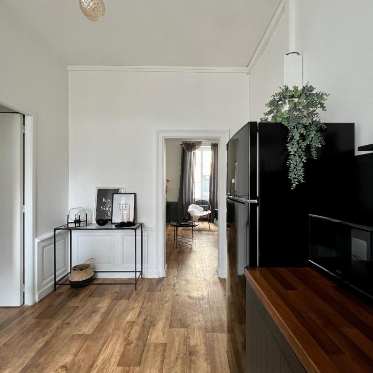 Bel appartement proche gare, centre ville d'Angers - Appartement 1 Chambre - 3