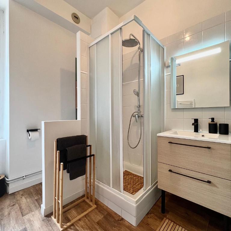 Bel appartement proche gare, centre ville d'Angers - Appartement 1 Chambre - 5