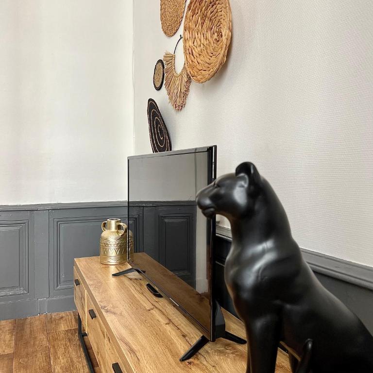 Bel appartement proche gare, centre ville d'Angers - Appartement 1 Chambre - 9
