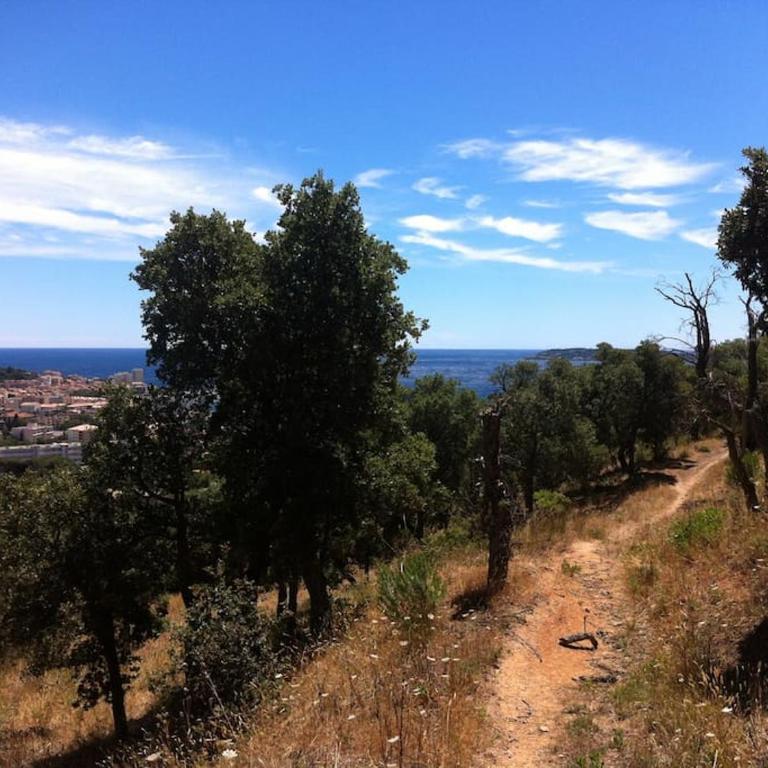 Coquet appartement dans mazet Ste Maxime Riviera - One-Bedroom Apartment - 41
