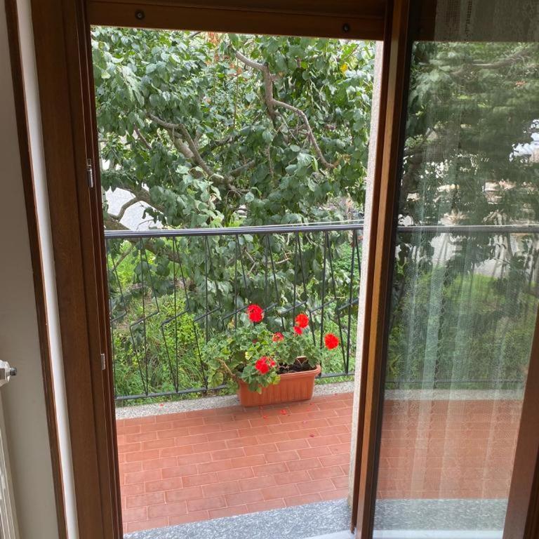Chez Carlo 2.0 - Apartamento de 1 dormitorio - 19