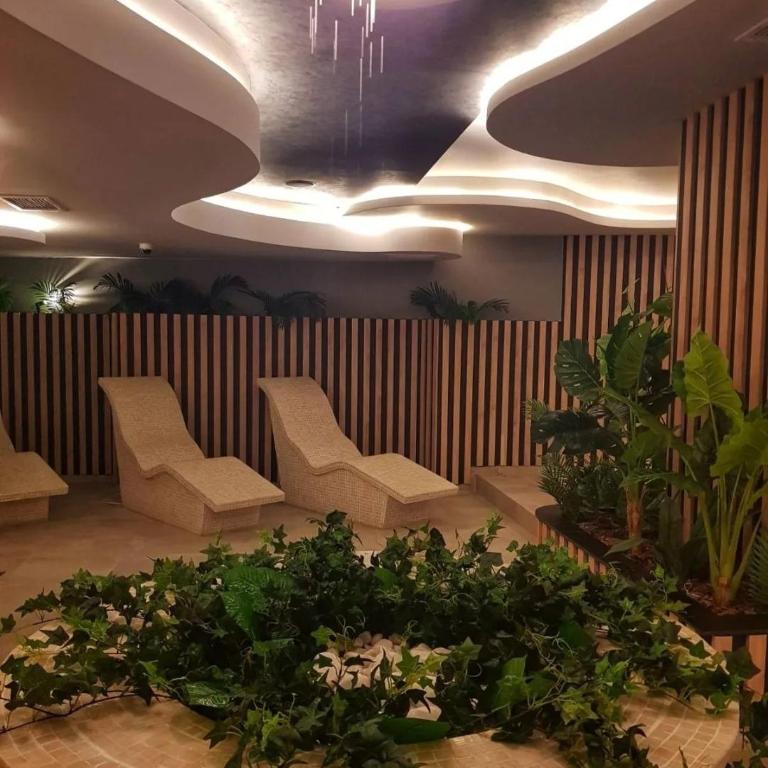 PLAVA ZVEZDA ZLATIBOR apartman u kompleksu Titova vila Zlatibor - One-Bedroom Apartment - 31