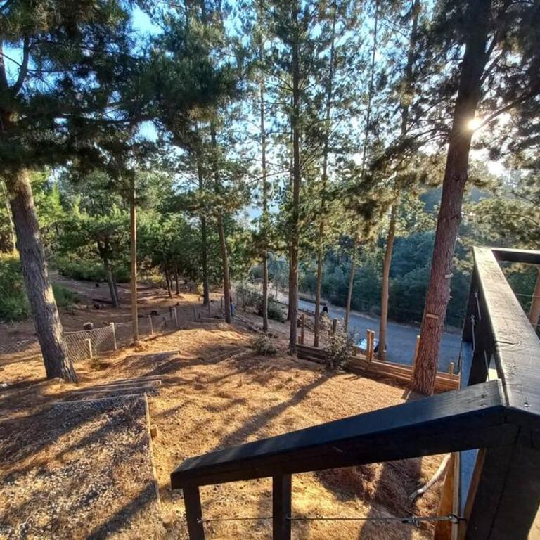 Hermosa cabaña con vista al lago Vichuquén - Three-Bedroom House - 37