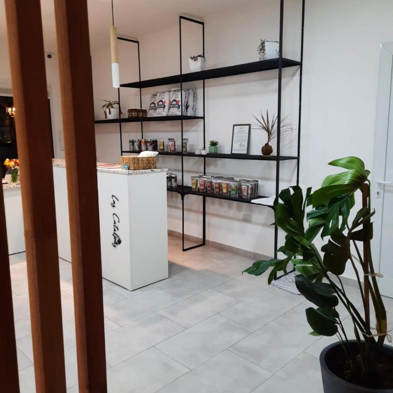 Las Catalpas - Apartamento de 1 dormitorio - 4