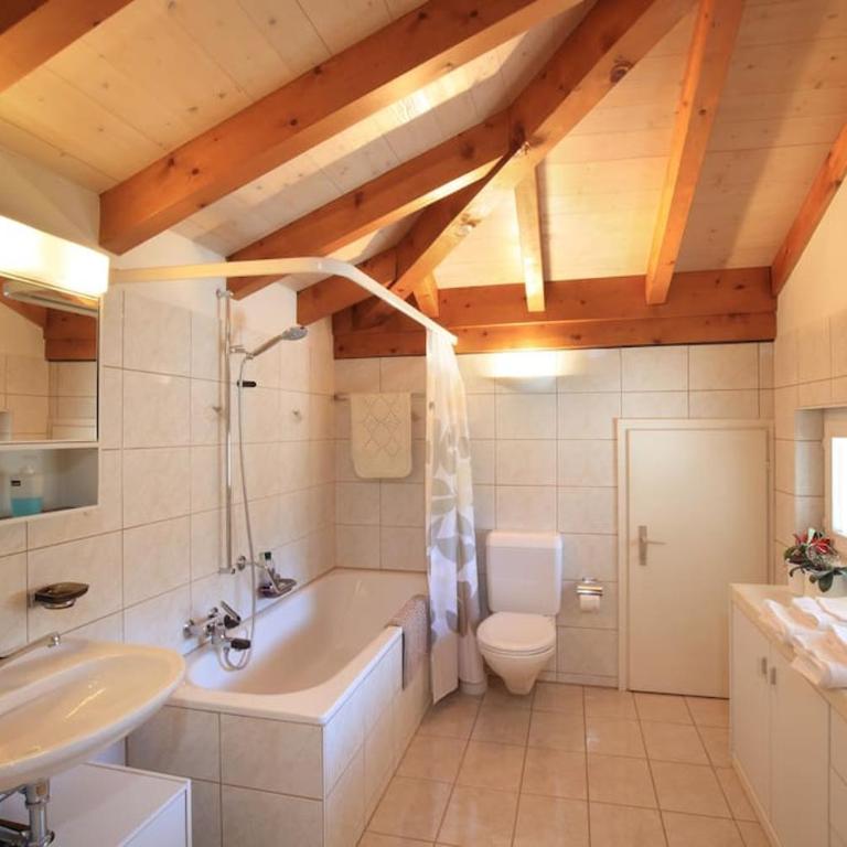 Appartamento Ascona , rooftop terrace apartment - Appartamento con 1 Camera da Letto - 14