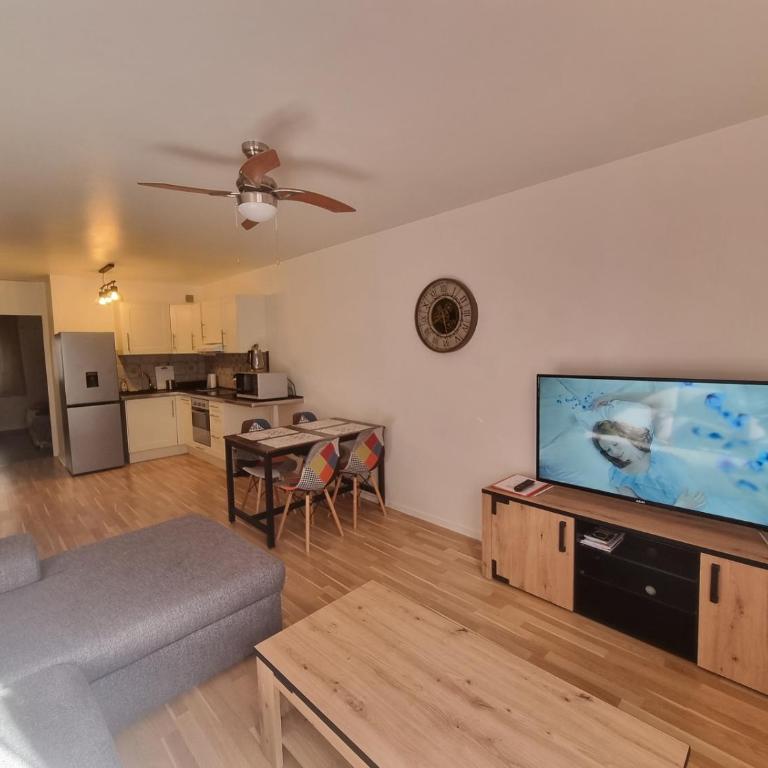 Appartement T2 45 M2 Meublé 3 étoiles tout confort hyper centre de Dax - Appartement 1 Chambre - 1
