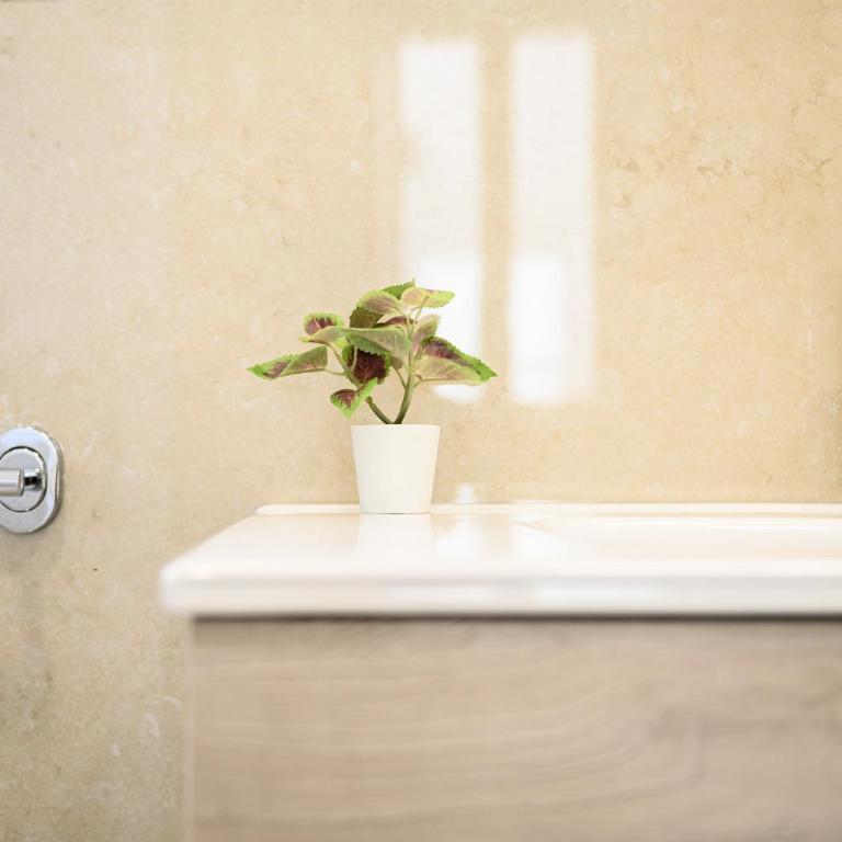 Magical Botanic-Garden Apartments - Appartamento con 2 Camere da Letto - 39