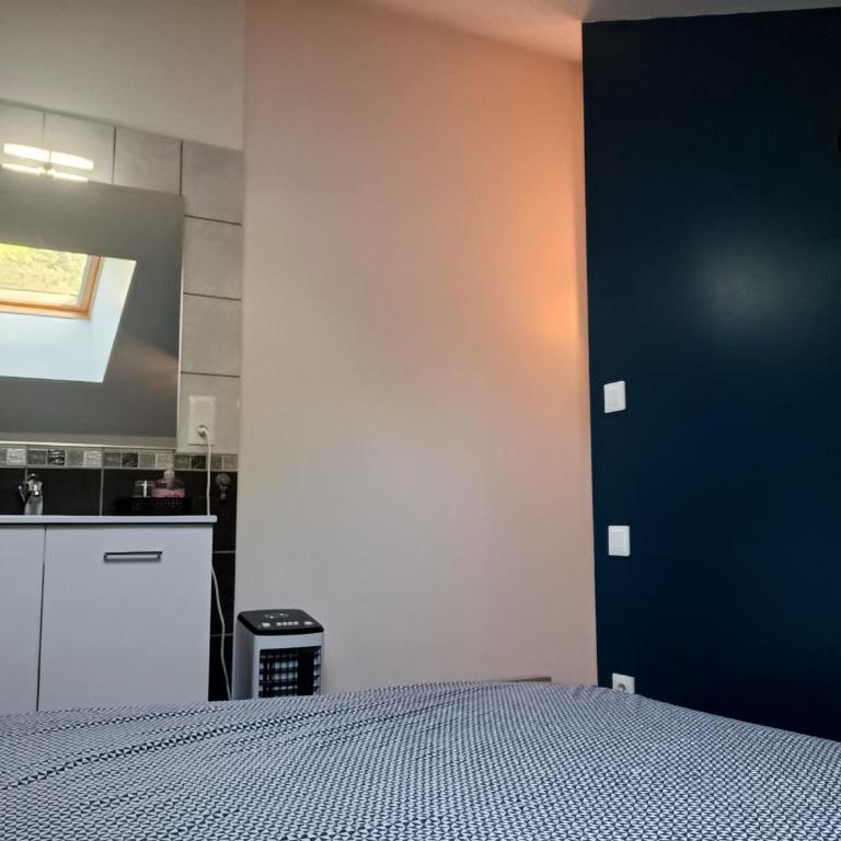 F1 duplex Bleuet Rénové - Appartement 1 Chambre - 12