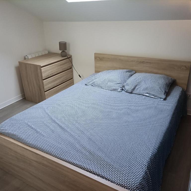 F1 duplex Bleuet Rénové - Appartement 1 Chambre - 18