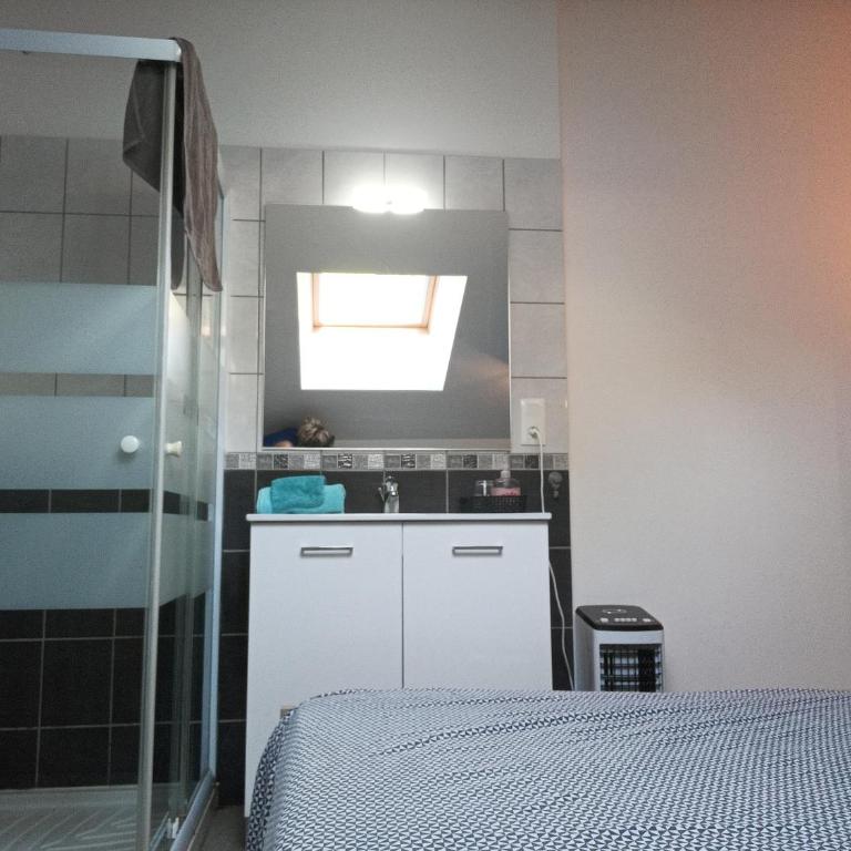 F1 duplex Bleuet Rénové - Appartement 1 Chambre - 19