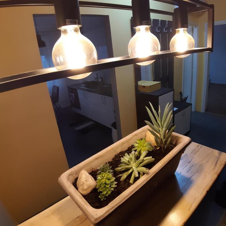 Aparmani Djuric - Apartman sa 2 Spavaće Sobe - 10