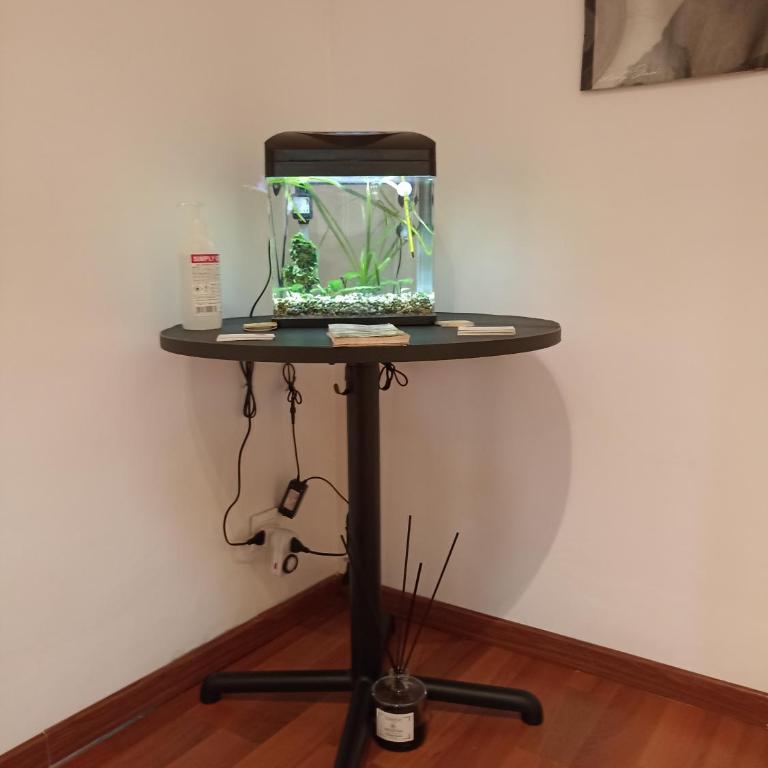 A&C Talenti Diamond - Apartment - 21