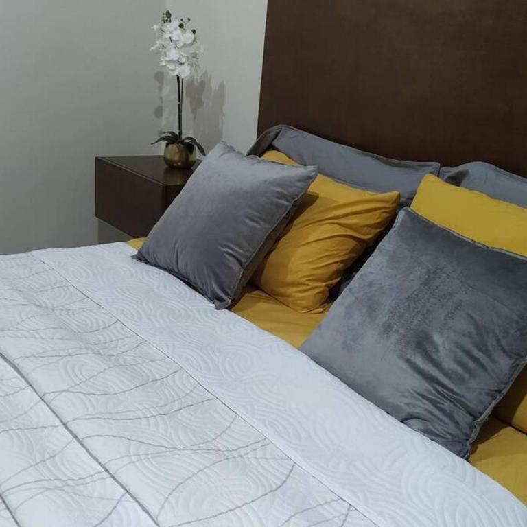 Departamentos Celia en Zona Dorada - Two-Bedroom Apartment - 7