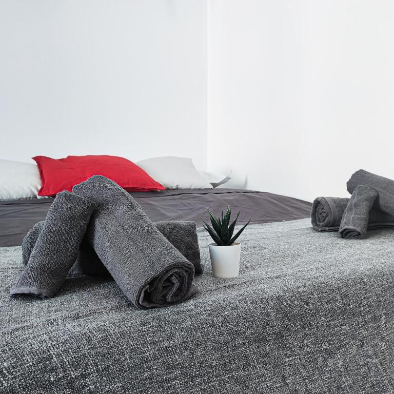 S&M Apartments "Casa Gemma" - Cimiano M2 - Appartamento con 1 Camera da Letto - 7
