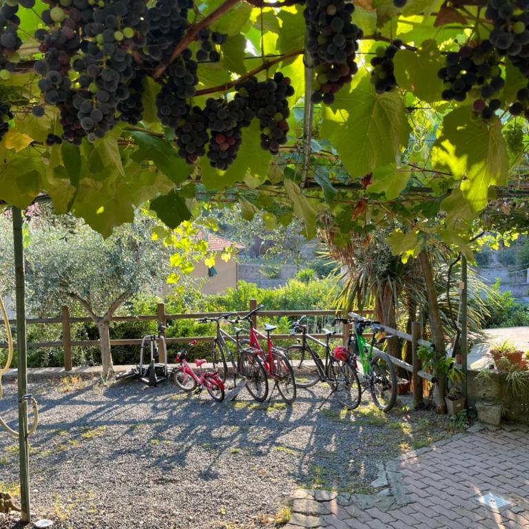 Rocca di Corno Guest House - Appartamento con 1 Camera da Letto - 4