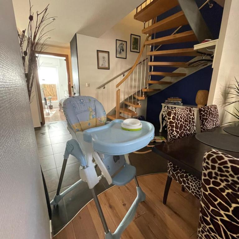 Le gîte de Sabina - Colmar - Appartement avec Terrasse - 18