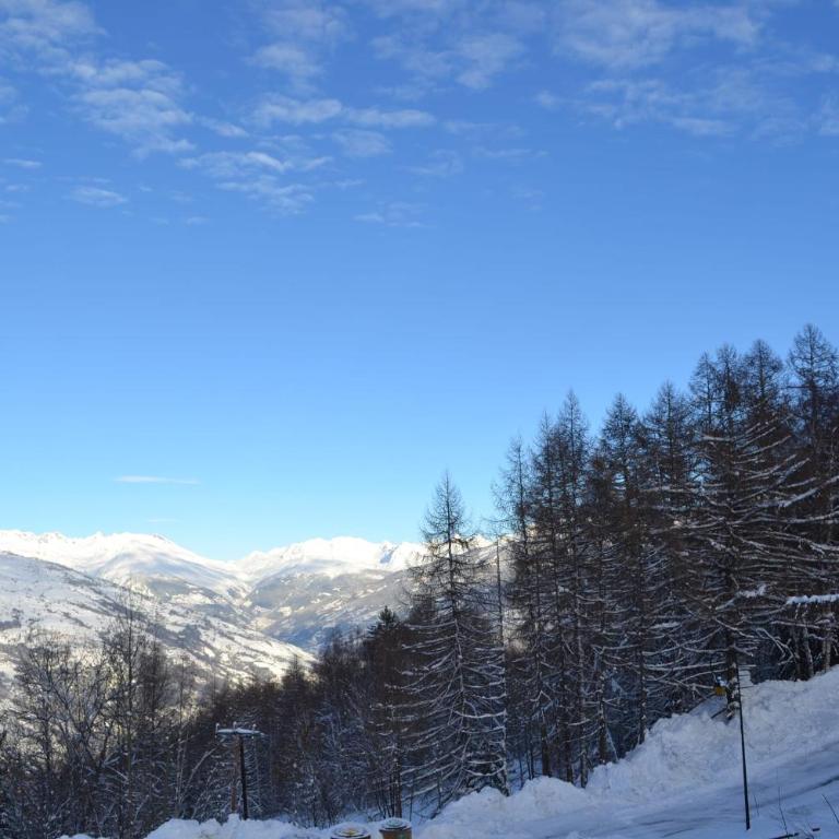 Chalet de Montalbert 22B au pied des pistes 4-6 pers - Appartement 2 Chambres - 12