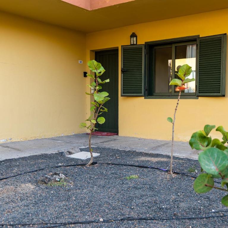 Casa Cocó, Corralejo - One-Bedroom Apartment - 32