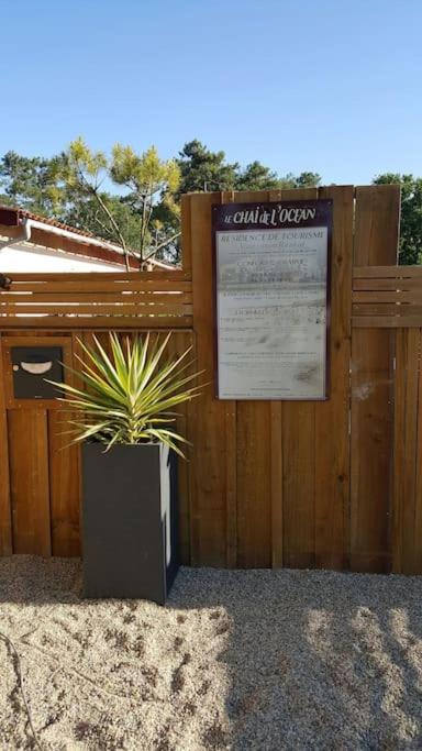 Le Chai de l'Océan -Maison plage à 300m - Jardin Terrasse - Haus mit 2 Schlafzimmern - 45