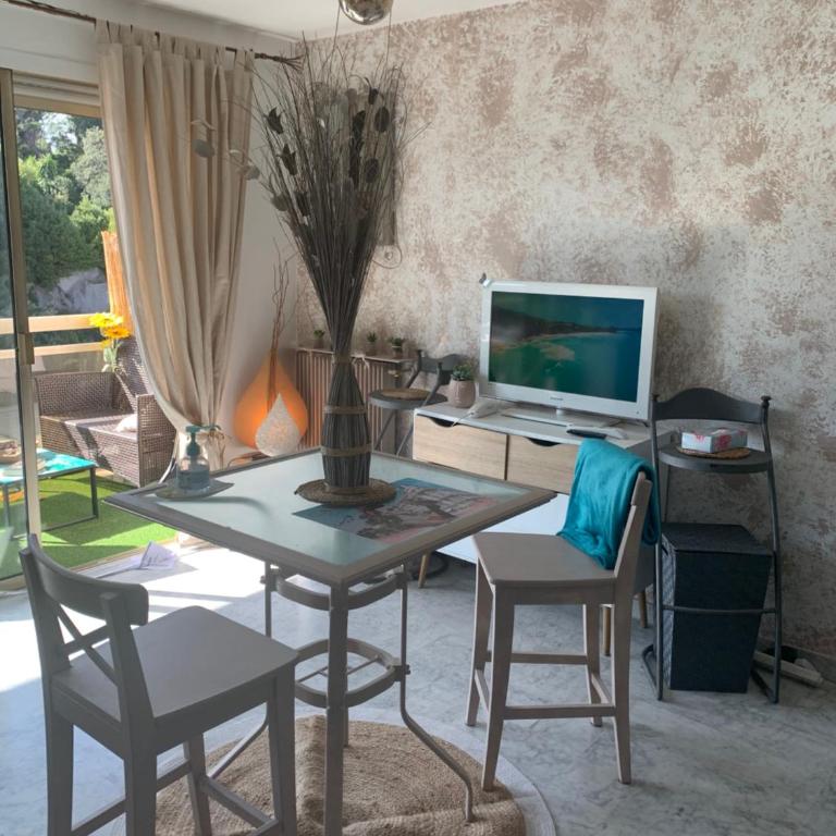 Luxurious Studio in Cannes 450m from sea with Terrace and Air Conditioning and private Parking - Appartement 1 Chambre - 15