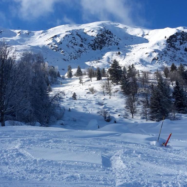 Ski 3 Vallées à 80m télécabine de l'Olympe - 50m2, 6 pers 3étoiles - Appartement 1 Chambre - 31