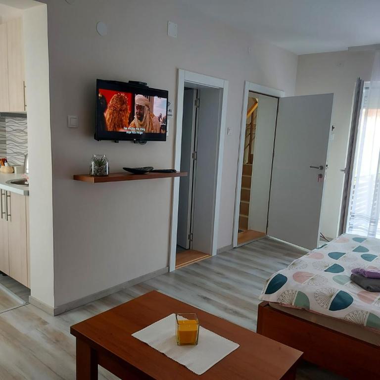 Apartmani MALINA - Porodična Soba sa Terasom - 6