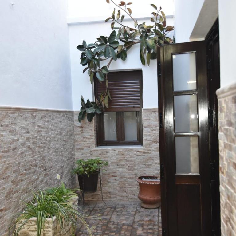 Apartamento Daniela 1 terraza con vistas a la Catedral - Apartamento de 1 dormitorio - 27