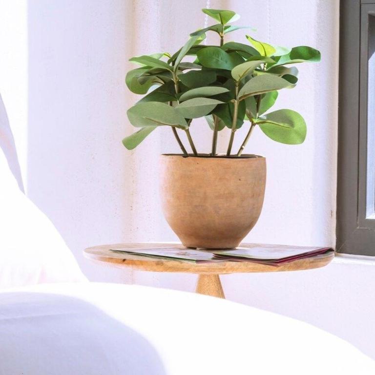 Exclusivo loft a pasos del Zócalo No lo pierdas - Apartamento - 6