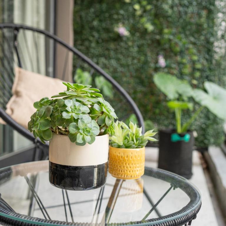 La Palmera Homestudio. Hermoso apartamento en el corazón de Palermo Hollywood - Apartamento de 1 dormitorio - 39
