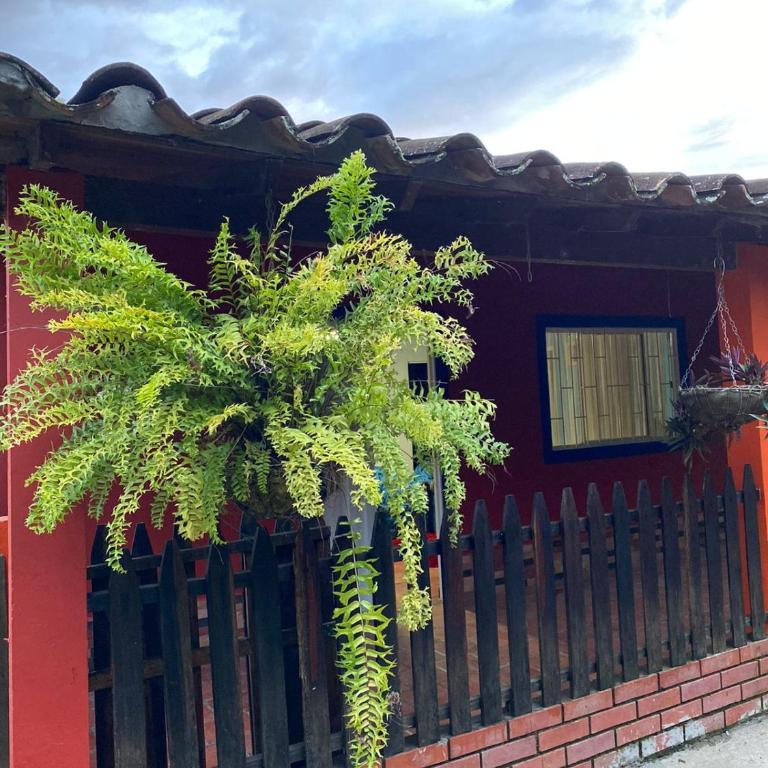 Finca el Paraíso - Three-Bedroom House - 18