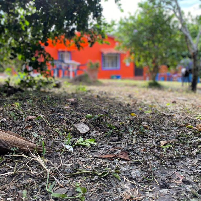 Finca el Paraíso - Three-Bedroom House - 20