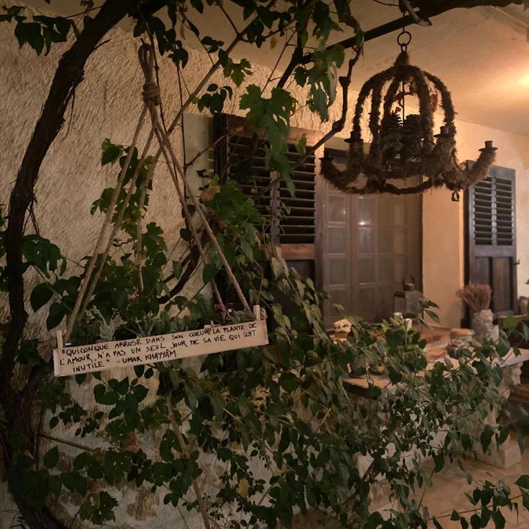 Bastide Aïna SPA et piscine - Suite Deluxe - 15