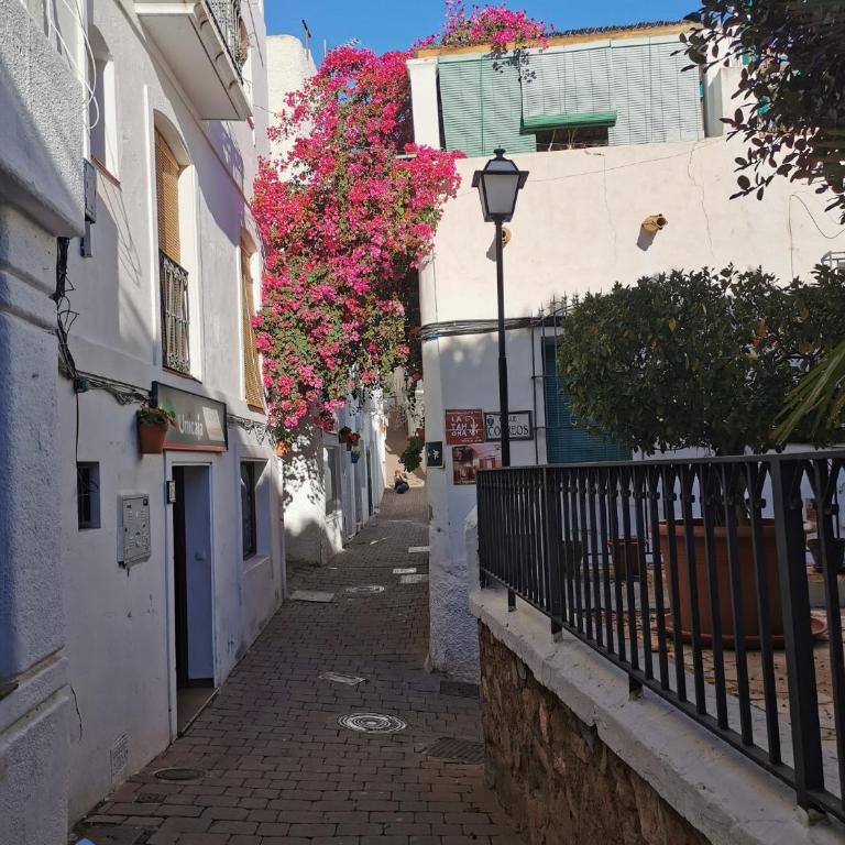 Vida Mia Almeria - Superior Apartment - Apartamento de 2 dormitorios - 75