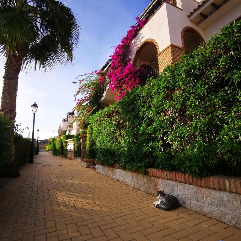 Vida Mia Almeria - Superior Apartment - Apartamento de 2 dormitorios - 37