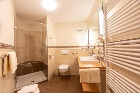 Ferienwohnungen Frick - Apartment mit Terrasse - 7