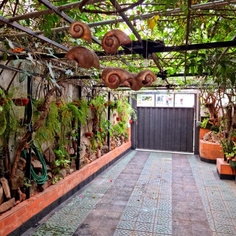 Hostal Jardín de Luque - Habitación Doble - 12