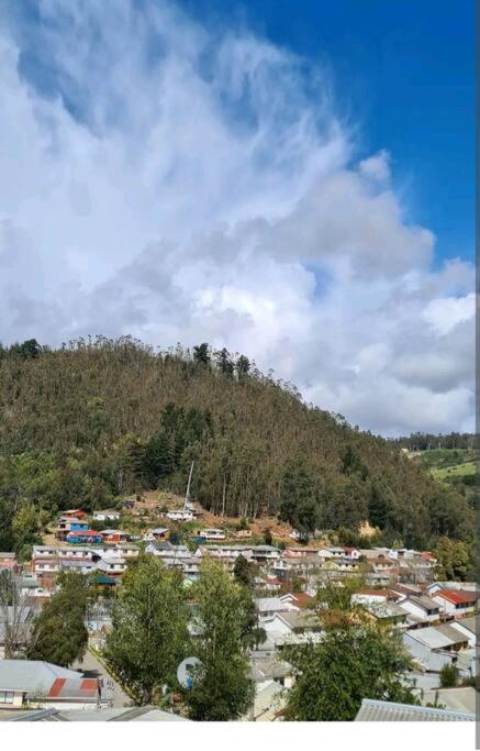 EL GRAN ROBLE. - Apartamento de 2 dormitorios - 17