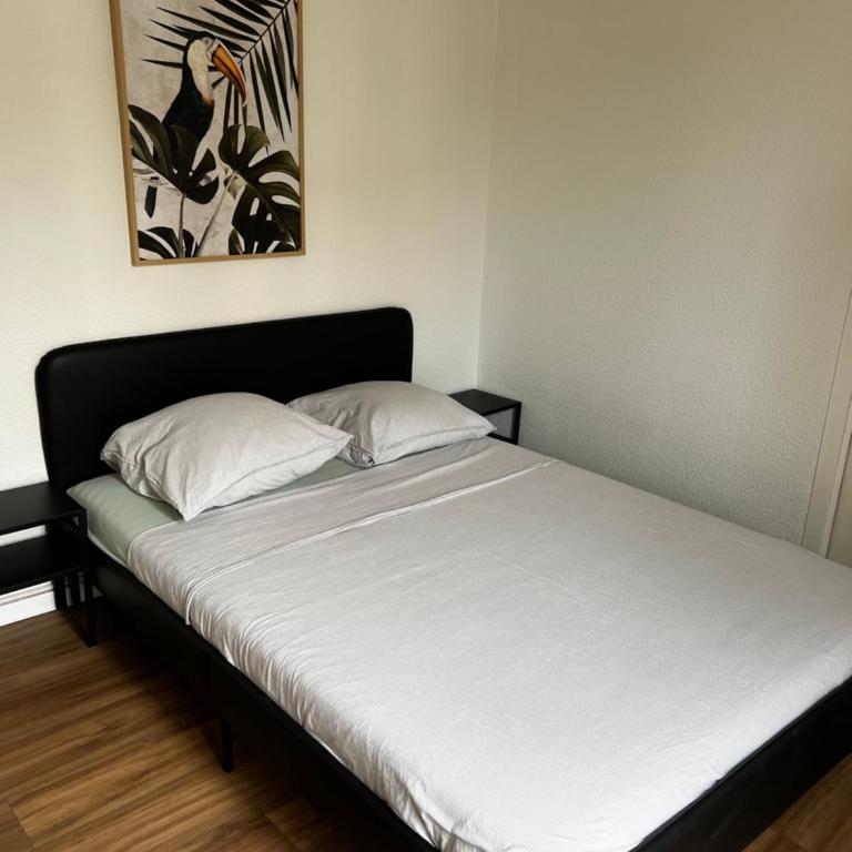 Appartement Prox Lycée Arago - Apartment mit 2 Schlafzimmern - 1