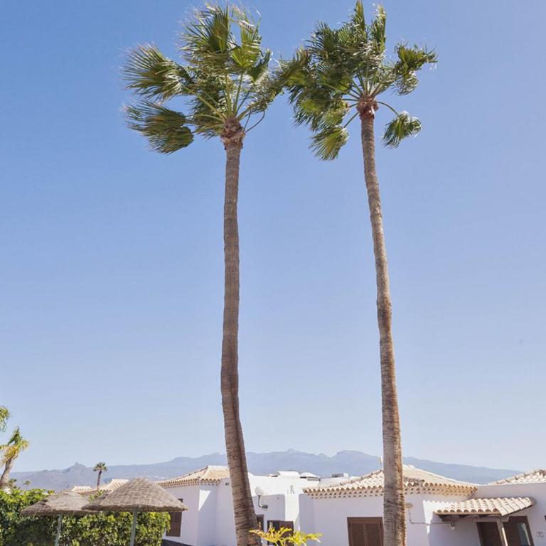 Oceanscape, Golf del Sur - Apartamento de 2 dormitorios - 34