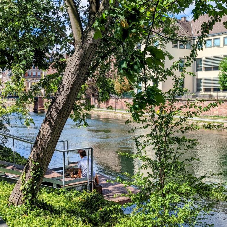 CityCosy Strasbourg - Authentique Batelier - Appartamento - 52