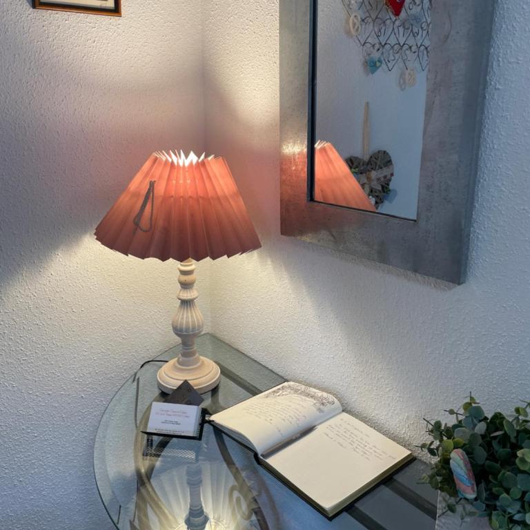 Aux petits cœurs de Colmar PETITE VENISE - Maisonette-Apartment - 40