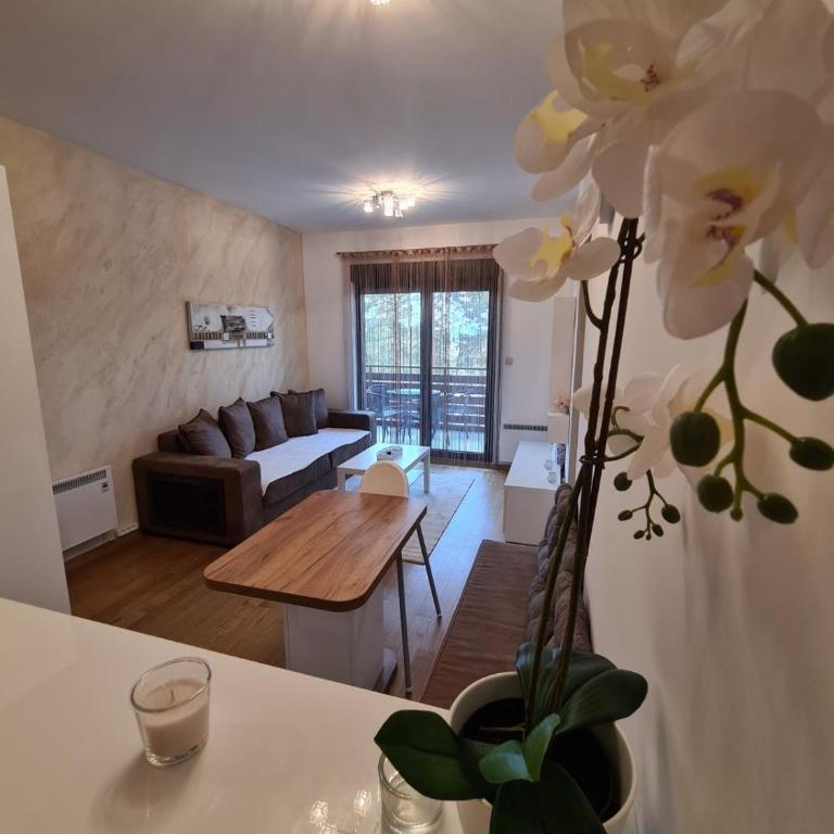 Balkan Hill 2 S20 - Two-Bedroom Apartment - 16