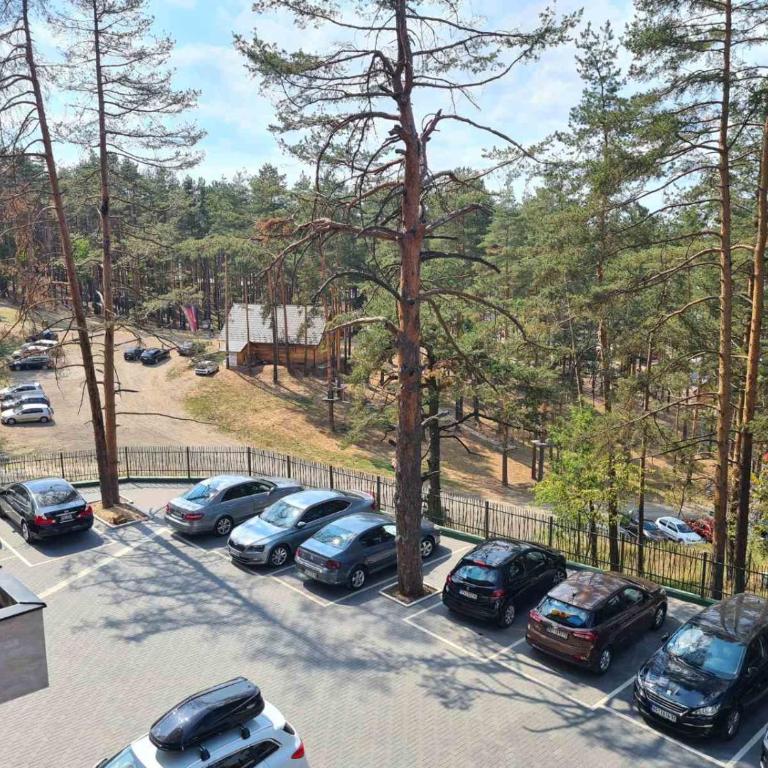 Balkan Hill 2 S20 - Two-Bedroom Apartment - 14