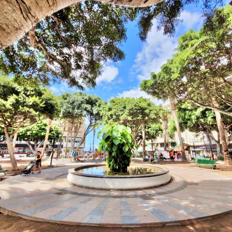 The Balcony House with FREE PARKING - Apartamento Deluxe - 17