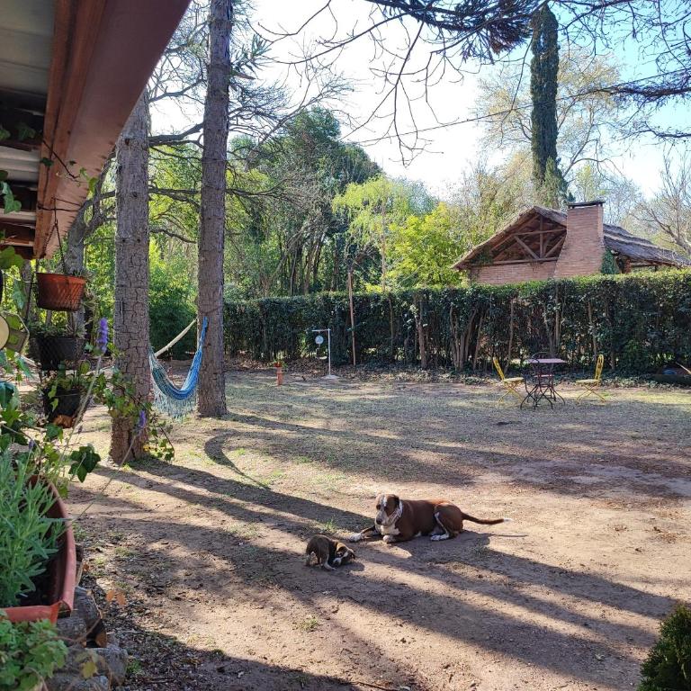 Casa del arroyo - Casa de 2 dormitorios - 38